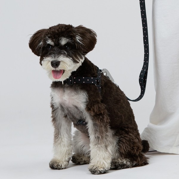 페오펫몰,일로 도로시 DOROTHY 하네스 (L형)