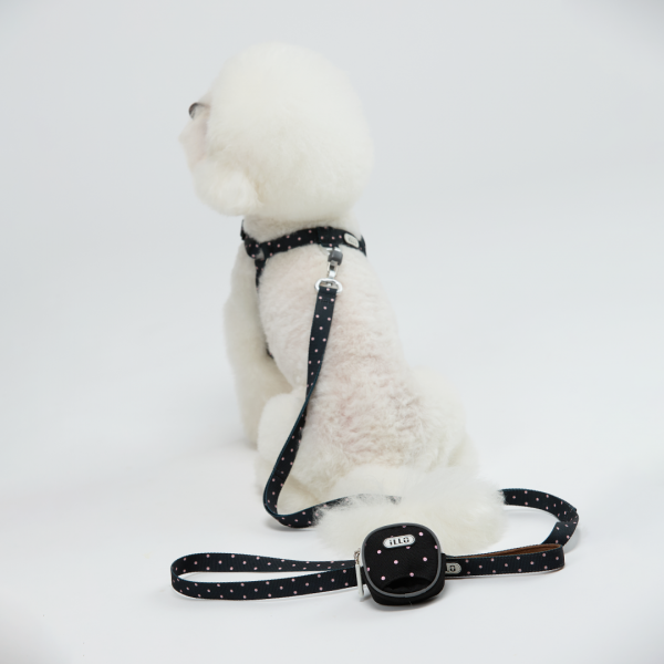 페오펫몰,일로 도로시 DOROTHY 풉백