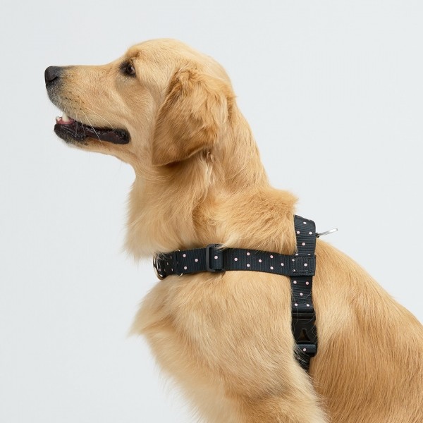 페오펫몰,일로 도로시 DOROTHY 맥스 하네스 (L형) - 중,대형견용