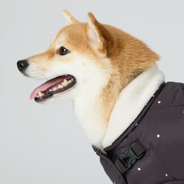 페오펫몰,일로 도로시 패딩