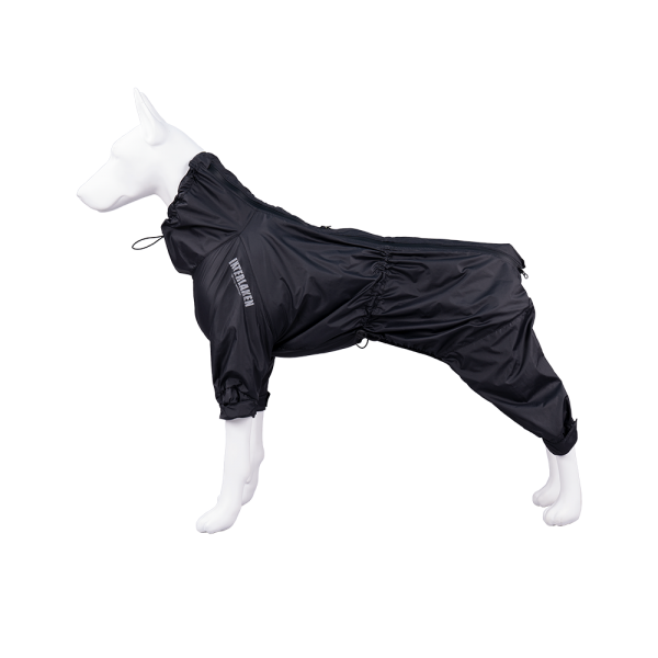 페오펫몰,인터라켄 강아지 바람막이