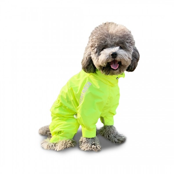 페오펫몰,인터라켄 강아지 바람막이