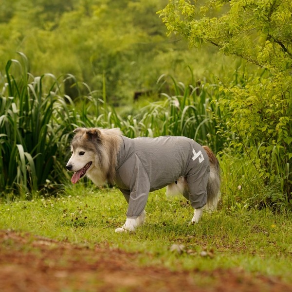 페오펫몰,인터라켄 스위시 강아지 올인원 바람막이 윈드브레이커
