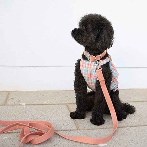 페오펫몰,글로펫 소프트 목줄 (Soft Neck-collar) [최저가]
