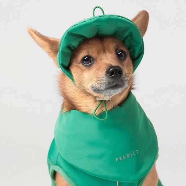 페오펫몰,페딕트 2온스 패딩 빕 (패딩 스카프) 그린 (S~L) [최저가]