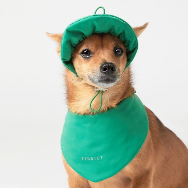 페오펫몰,페딕트 2온스 패딩 빕 (패딩 스카프) 그린 (S~L) [최저가]