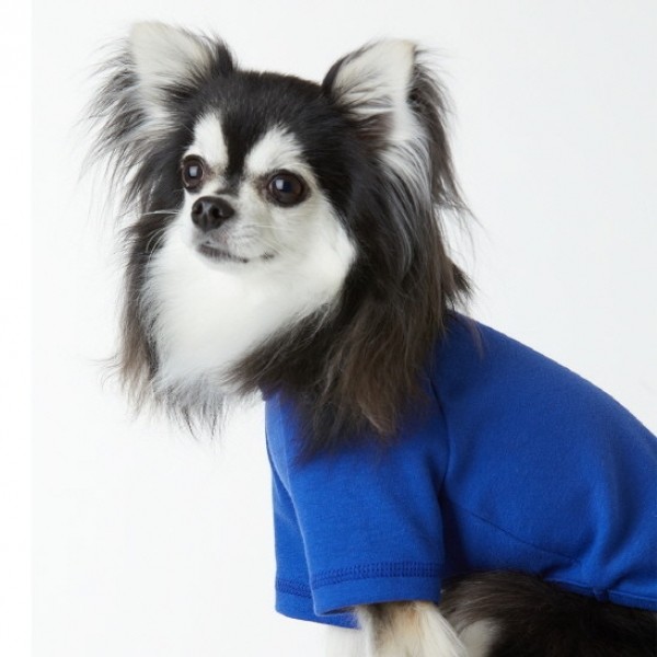 페오펫몰,페딕트 반팔 나그랑 기본티셔츠 코발트 (S~2XL) [최저가]