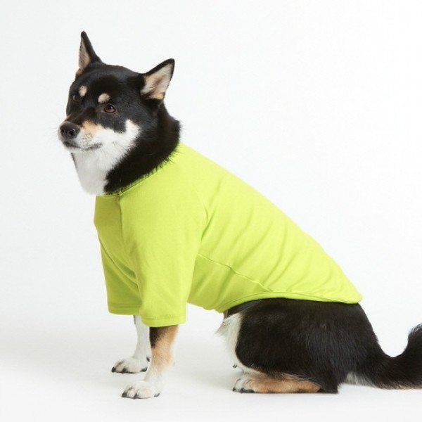 페오펫몰,페딕트 반팔 나그랑 기본티셔츠 레몬옐로 (S~2XL) [최저가]