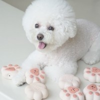 [딩독] 젤리파우 무독성 라텍스 삑삑이 장난감 [최저가]