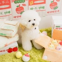 [바잇미] 종합과일세트 노즈워크 장난감 [최저가]