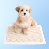 [바잇미] 발도장 방지 제로 가드 매트 실리콘 배변판 (2 colors) [최저가]