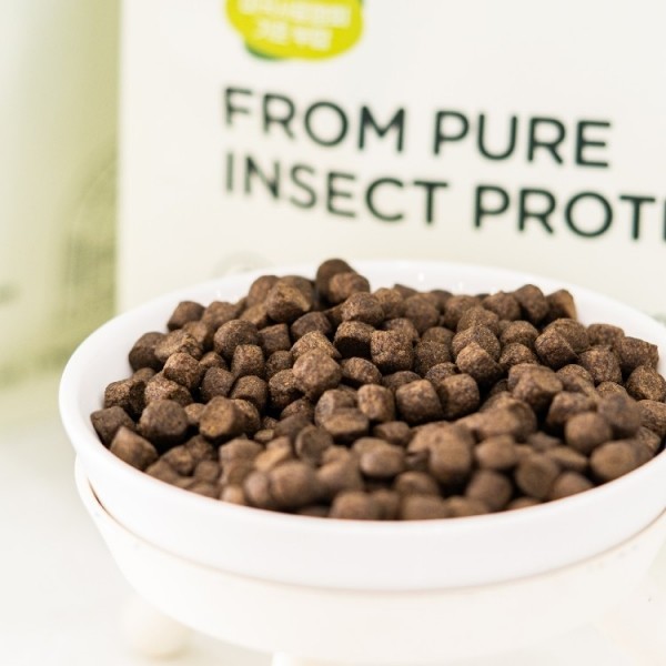 페오펫몰,[핏펫] 인섹트업 하이포알러지 사료 스킨 2.0kg(400gx5ea)