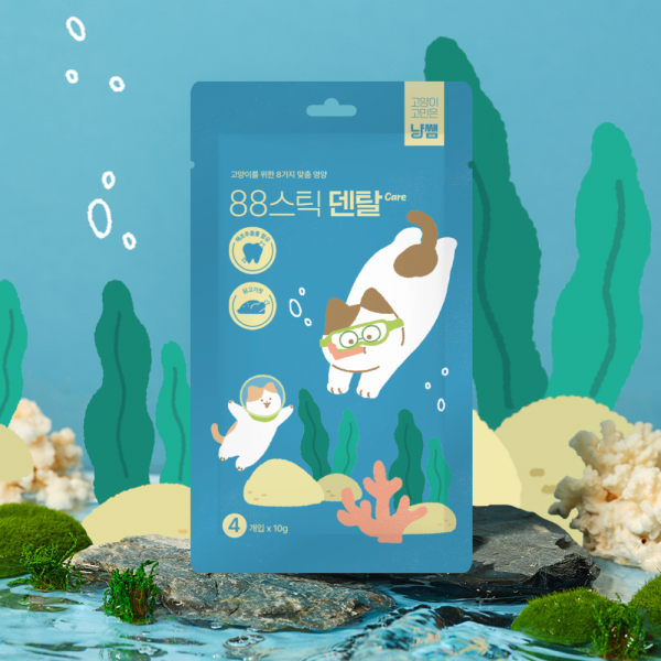 페오펫몰,[핏펫] 냥쌤 슈퍼푸드 고양이 츄르 88스틱 10g*4p 8종 택 1