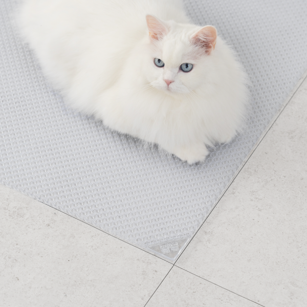 [핏펫] 투명 캐치매트 고양이 화장실 사막화 방지 모래매트 (큐브/롱)