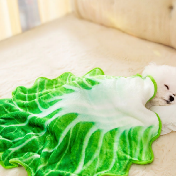 페오펫몰,[댕린이특가] 강아지담요 새끼 아기 고양이 애견 겨울 워머 이불