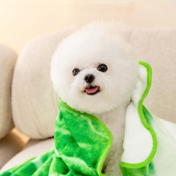 페오펫몰,[댕린이특가] 강아지담요 새끼 아기 고양이 애견 겨울 워머 이불