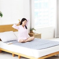 [반려인혜택] 한일의료기 5세대 그래핀 탄소 매트 HIM-2000DT 더블 (그레이)