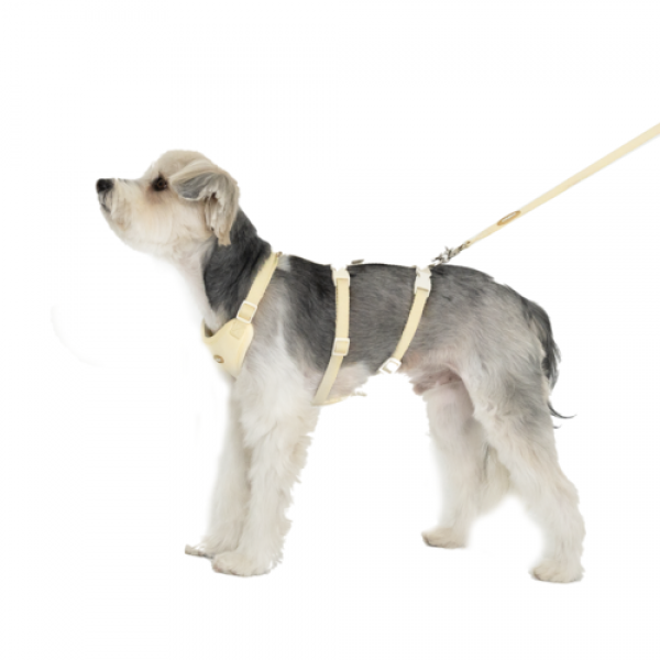 페오펫몰,[버디부] 힐링 리드줄 3m