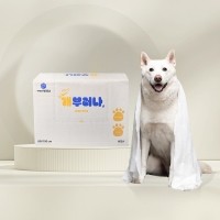 [감사특가]펫타월 개부러나 60매입 1박스