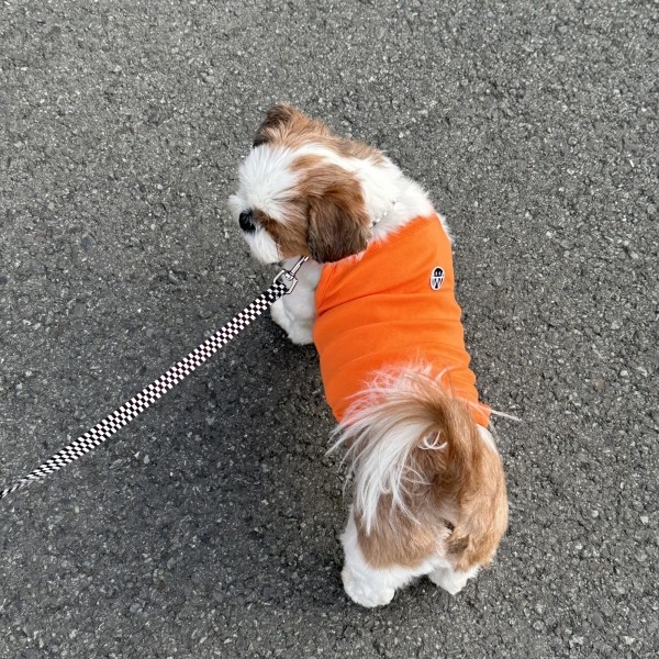 페오펫몰,우니토 데일리워크 나시티