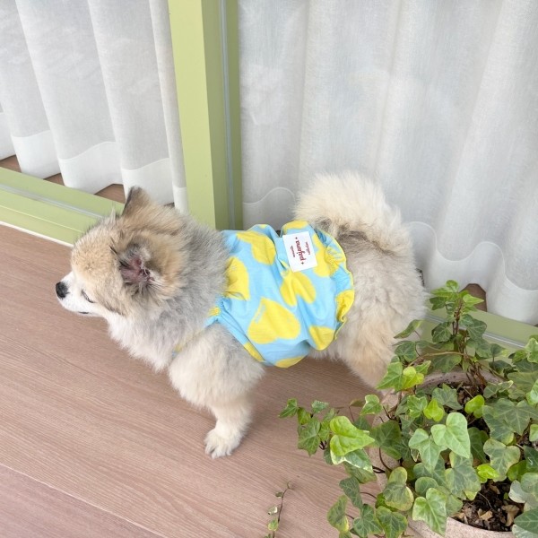 페오펫몰,우니토 하트프릴 나시 파자마