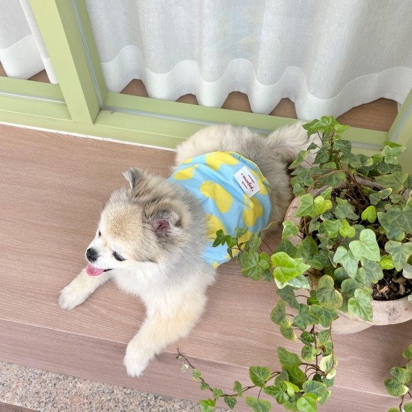 페오펫몰,우니토 하트프릴 나시 파자마