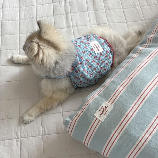 페오펫몰,우니토 리본 프릴 나시 파자마