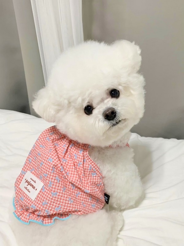페오펫몰,우니토 리본 프릴 나시 파자마
