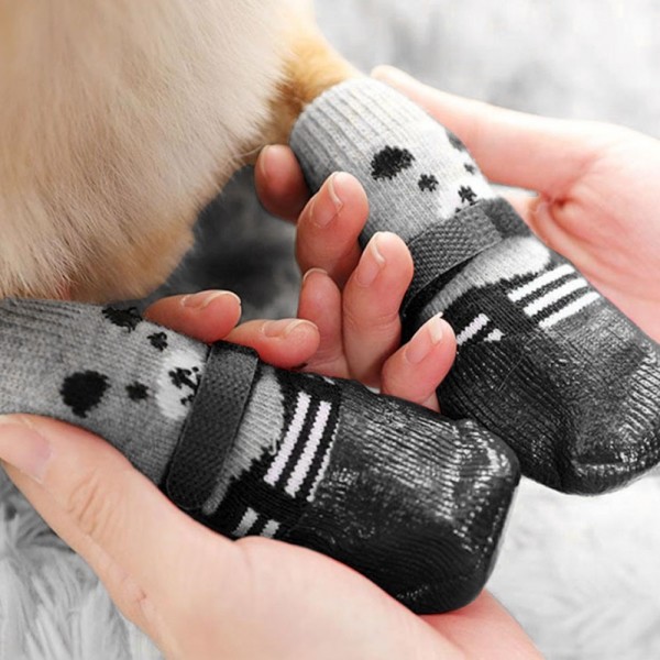 페오펫몰,딩동펫 반려동물 포근 곰돌이 강아지 신발 방수 양말 세트