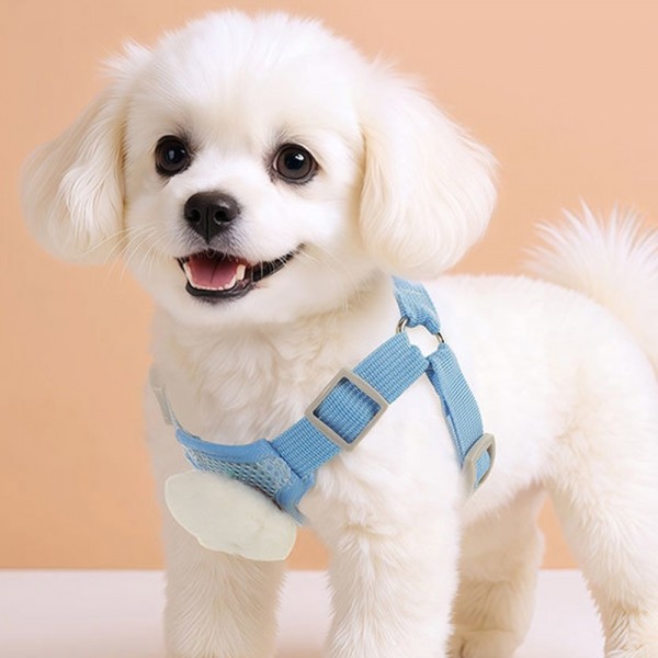페오펫몰,딩동펫 강아지 초경량 캔디 멜빵 하네스 리드줄 세트