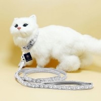 딩동펫 반려동물 발바닥 초경량 목줄 리드줄 세트