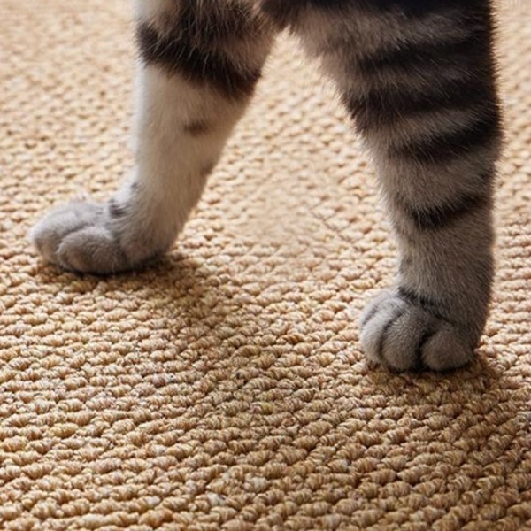 페오펫몰,딩동펫 반려동물 사계절 먼지없는 물세탁 미끄럼방지 러그 카페트