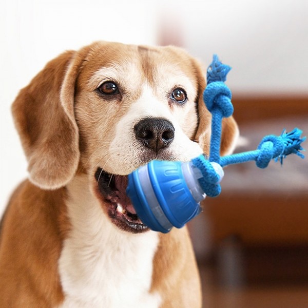 페오펫몰,딩동펫 반려동물 로프 터그공 자동 장난감