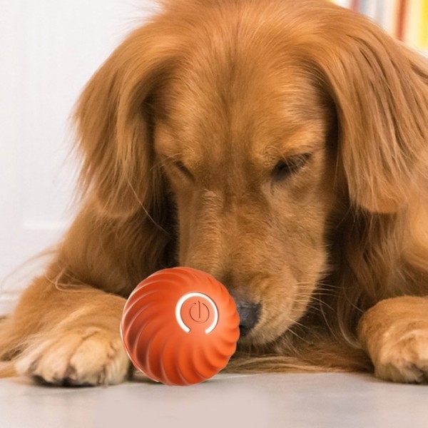 페오펫몰,딩동펫 반려동물 움직이는 자동 롤링볼 장난감