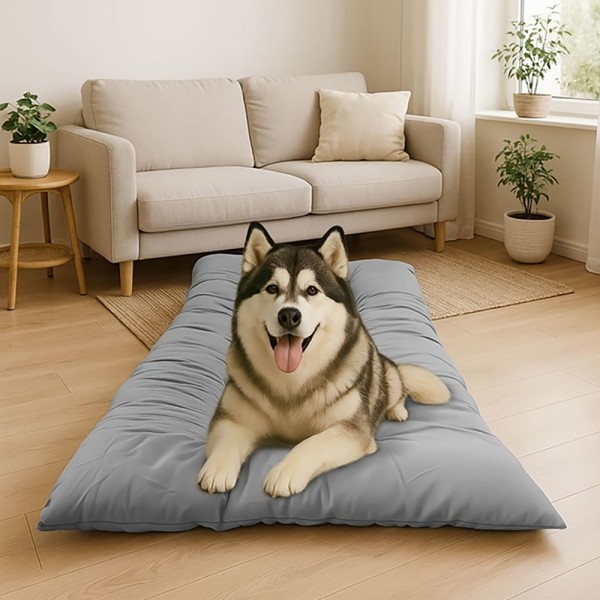 페오펫몰,딩동펫 반려동물 통세탁 슈퍼베드 방석