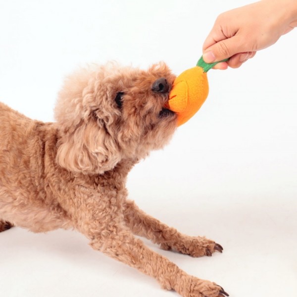 페오펫몰,딩동펫 반려동물 당근 노즈워크 삑삑이 인형 4종 세트