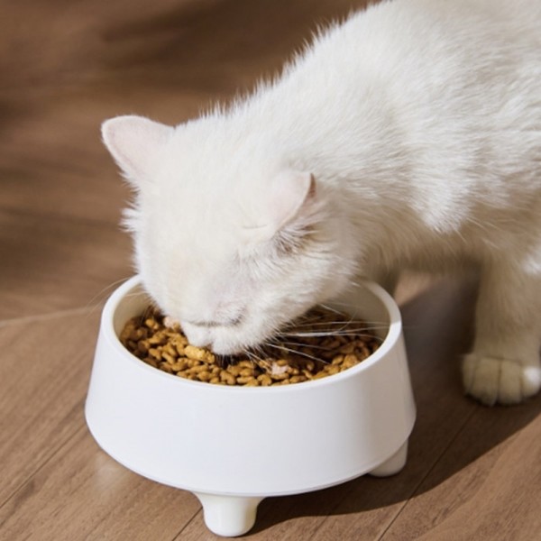 페오펫몰,딩동펫 반려동물 토닝 논슬립 분리형 보울 식기