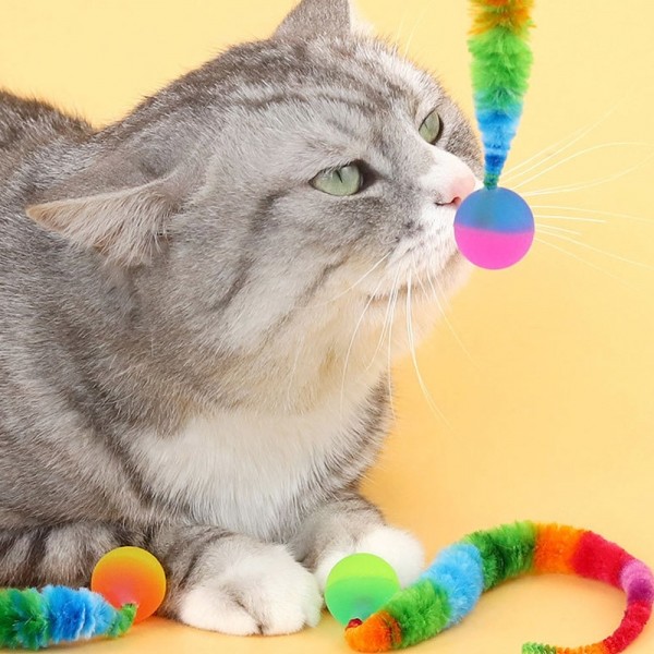 페오펫몰,딩동펫 고양이 무지개 탱탱볼 지렁이 장난감 5종 세트